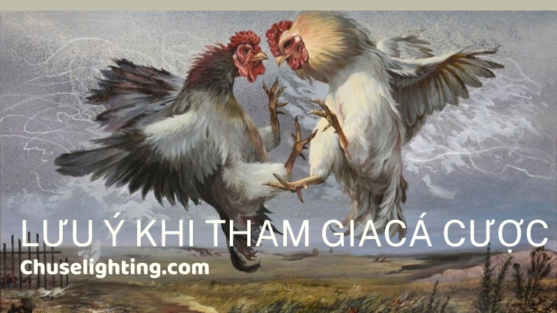 Lưu ý khi tham gia cá cược tại Chuselighting.com